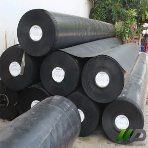 Màng Chống Thấm HDPE