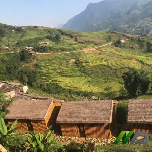 thi công mái rơm nhân tạo