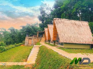 Thi công homestay mái lá nhân tạo