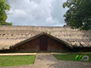 Cải Tạo Mái Lá Nhân Tạo Nhà Dài