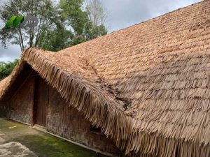 Cải Tạo Mái Lá Nhân Tạo Nhà Dài