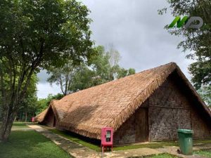 Cải Tạo Mái Lá Nhân Tạo Nhà Dài