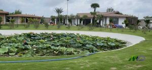 Thi Công Mái Rơm Nhân Tạo Resort Bình Tân