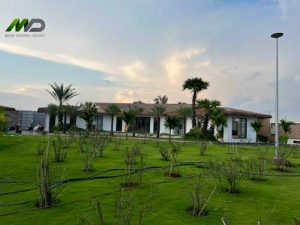 Thi Công Mái Rơm Nhân Tạo Resort Bình Tân