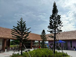 Thi Công Mái Nhân Tạo MeKong Water Park Bến Tre 