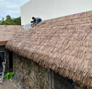 mái nhựa giả tranh